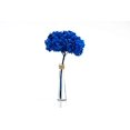 thumbnail image 1 of Jumbo Preserved Colombian Hydrangeas (Real Flower) (Royal Blue) Royal Blue-, 1 of 8