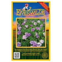 Everwilde Farms - 2000 Moss Verbena Garden Flower Seeds - Gold Vault Jumbo Bulk Seed Packet