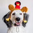 thumbnail image 4 of Diadema para perro Midlee Pilgrim Turkey Thanksgiving, 4 of 9