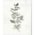 thumbnail image 1 of Great Art Now Fresh Farmhouse III by Anne Tavoletti, Canvas Wall Art, 16W x 20H, 1 of 2