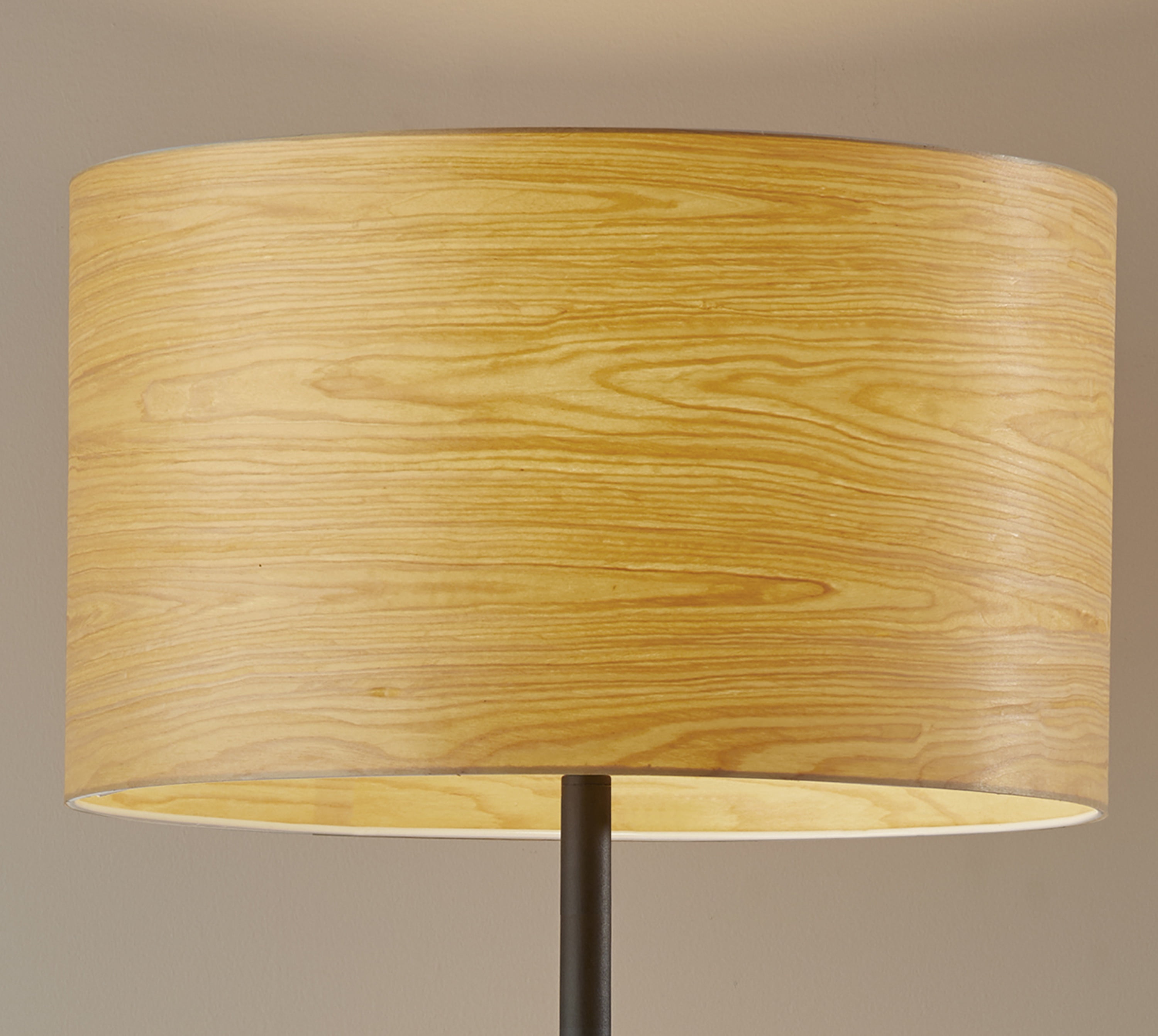 Adesso Oslo Floor Lamp, Matte Black