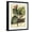 Black Frame, variant on Art.com Petite Dragonflies VI Art Print by Vision Studio, 12" x 16"