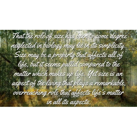 John Tyler Bonner - Famous Quotes Laminated POSTER PRINT 24x20 - That the role of size has been to some degree neglected in biology may lie in its simplicity. Size may be a property that affects (Simplicity At Its Best Quote)