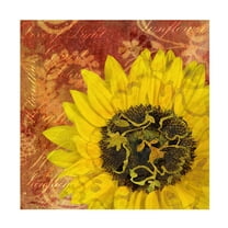 Trademark Fine Art Cora Niele Sunflower - Love of Light Canvas Wall Art - 14x14