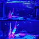 thumbnail image 2 of 18 cm decoración de acuario plantas simulación agua artificial hierba pecera decoración silicona brillante algas ornamento, azul, 7.08 pulgadas, 2 of 5
