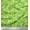 Lime Green, variant on Soimoi Cotton Duck Fabric Leaves & Floral Artistic Printed Craft Fabric by the Yard 42 Inch Wide