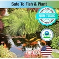 thumbnail image 3 of 3 Pack Microbe-Lift Pond Algaway 5.4 Algaecide for Ponds Stops Algae Growth [Pond Algaecides, Bulk Pond Supplies, Microbe-Lift] 48 oz (3 x 16 oz), 3 of 4