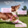 thumbnail image 4 of Native Pet Hip & Joint Advanced Care Powder Supplement for Dogs, 6.3-oz, 4 of 9