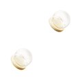 thumbnail image 1 of Cateissary Glass Display Cloche Bell Jar Dome Flower Wooden Base Preservation Cover Type1 NO1, 1 of 1