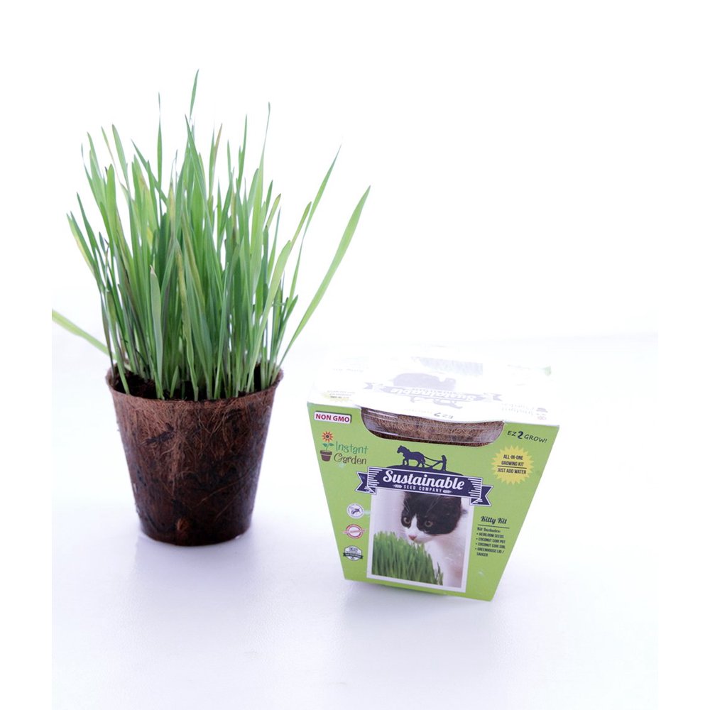 Kitty Grass AllInOne Cat Grass Seed Starting Kit Contains Non GMO