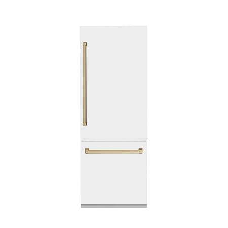 ZLINE KITCHEN AND BATH RBIVZWM30CB bottom freezer built in refrigerator