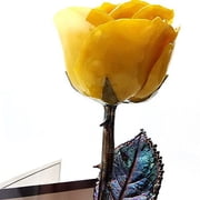 Forever Rose USA Brand - The Beauty and The Beast Rose - Enchanted Rose - This is a Real Rose! … (Yellow)