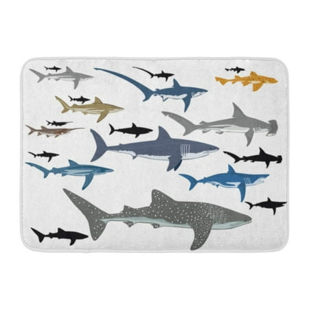 Reef Life Bath SIDONKU Blue Whale Shark Species Reef Black Tip Life Doormat Floor Rug Bath Mat 23.6x15.7 inch ()