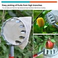 thumbnail image 2 of Recolector de frutas Yuarrent ajustable para Huerto Jardín, 2 of 6
