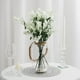 Efavormart 2 Pack 16.5" Clear Glass Vase Jar with Twine Rope Handle DIY Hanging Glass Terrariums ...