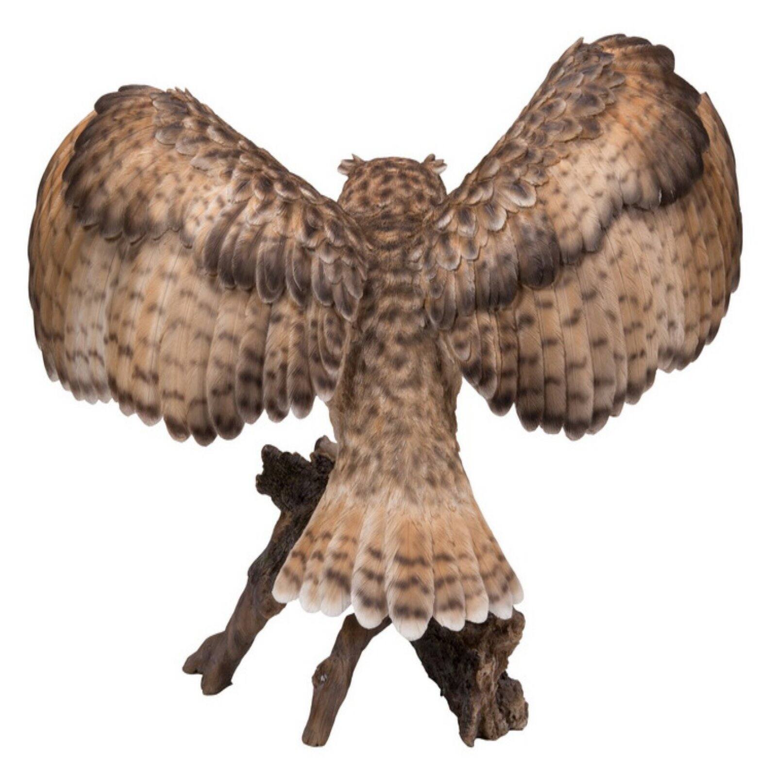 HI-LINE GIFT LTD. EAGLE OWL ON BRANCH W/WINGS OUT - image 3 of 5