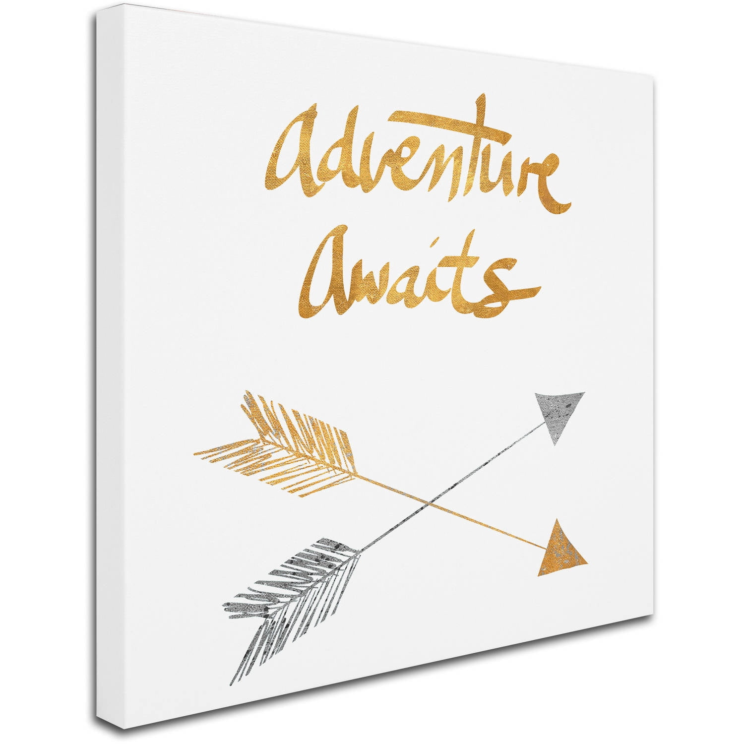 Trademark Fine Art "Adventure Arrows" Canvas Art by Lisa Powell Braun