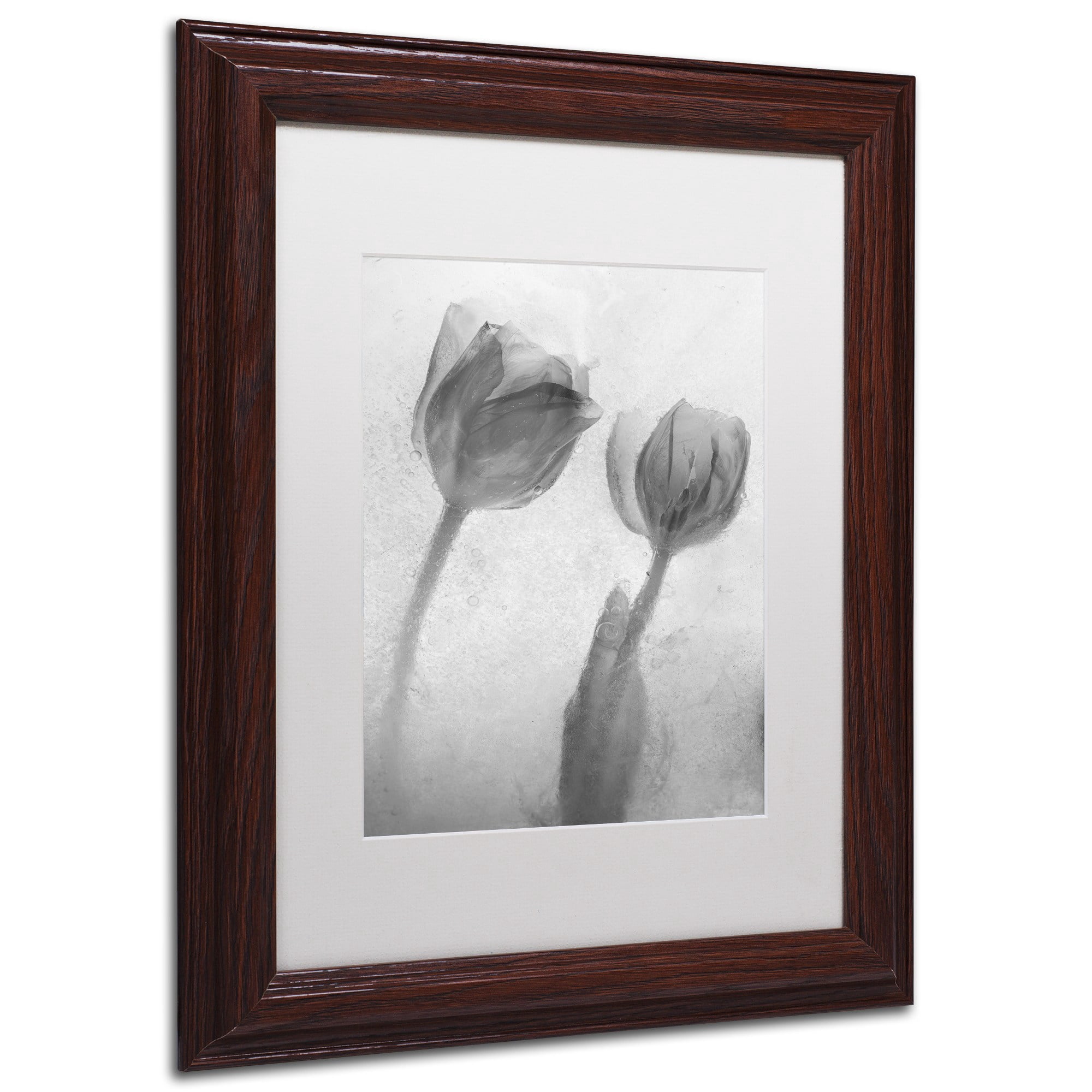 Moises Levy 'Flowers on Ice-1' Matted Framed Art