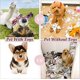 thumbnail image 4 of Juguete de cuerda para perros, paquete de 8 Juguetes interactivos para perros, Juguete para masticar, Accesorios para perros Juguetes, Juguete de cuerda duradero Soledad Perros pequeños y medianos Sa, 4 of 5