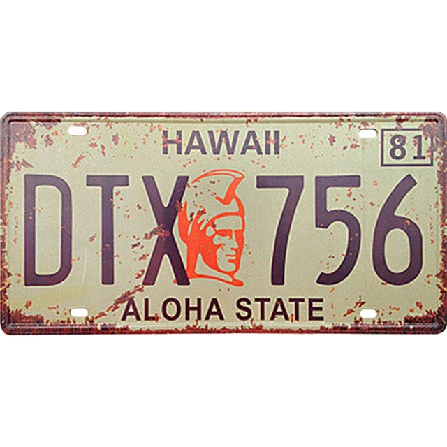 Pintura Hojalata Rectangular Placa Matrícula 30x15cm Serie Hawaii DTX 756 Still Life