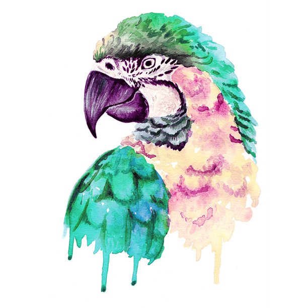 Pintura de diamantes (DE6032) Imagen cuadrada de diamantes de imitación DIY Parrot 5D Poster 20X30cm FLhrweasw Nuevo
