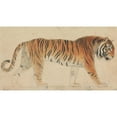 thumbnail image 2 of Thomas Stothard 14x10 Black Ornate Wood Framed Double Matted Museum Art Print Titled: A Tiger, 2 of 5
