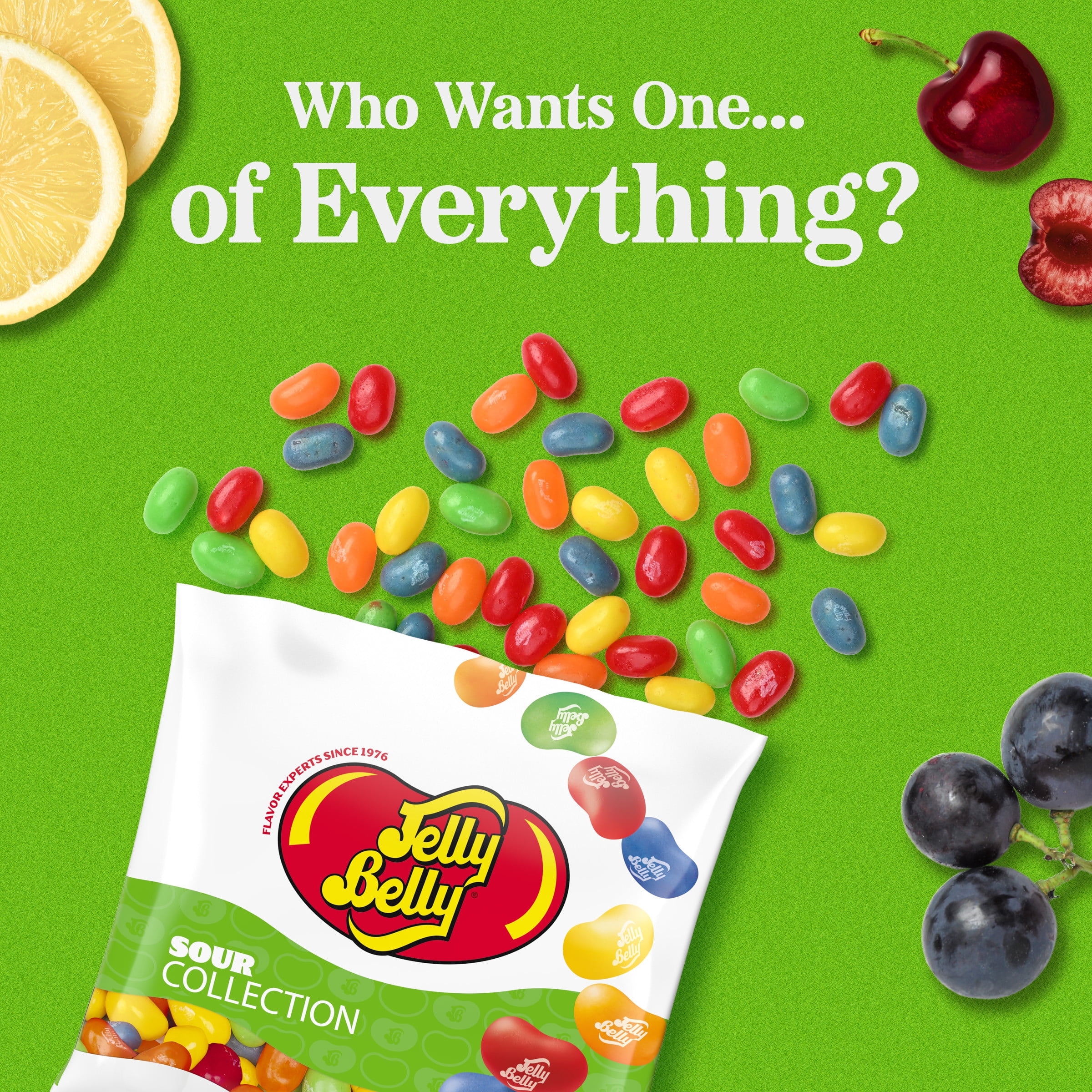 Jelly Belly Sour Jelly Bean Collection - 6 oz Peg Bag, 12-Count Case - Genuine, Official, Straight from the Source