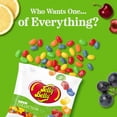 thumbnail image 2 of Jelly Belly Sour Jelly Bean Collection - 6 oz Peg Bag, 12-Count Case - Genuine, Official, Straight from the Source, 2 of 11