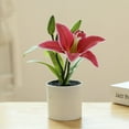 thumbnail image 4 of Toystoory Simulación decorativa en maceta, flores frescas de larga duración, plantas decorativas exquisitas para el hogar Decoración del hogar tipo+4, 4 of 6