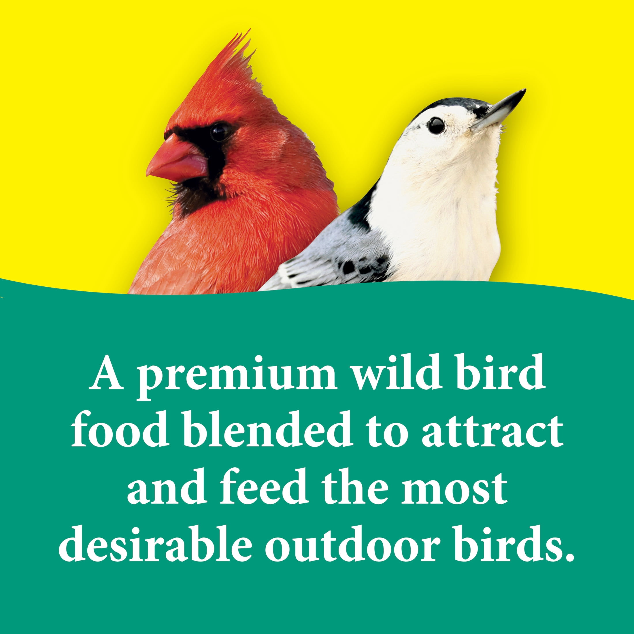 3-D Pet Products Premium Songbird Blend Dry Wild Bird Food, 14 lb.; Does Not Contain Fillers, 1 Pack
