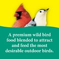 thumbnail image 4 of 3-D Pet Products Premium Songbird Blend Dry Wild Bird Food, 14 lb.; Does Not Contain Fillers, 1 Pack, 4 of 13
