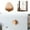 A, variant on TIELUTT Your Cabinets with Stone Pebble Shaped Drawer Pulls – Durable and Easy To Install! Brass Bunny Head Stick on Brass Plaque Max Fan Control Board Hangar Door Hardware Closet Hook