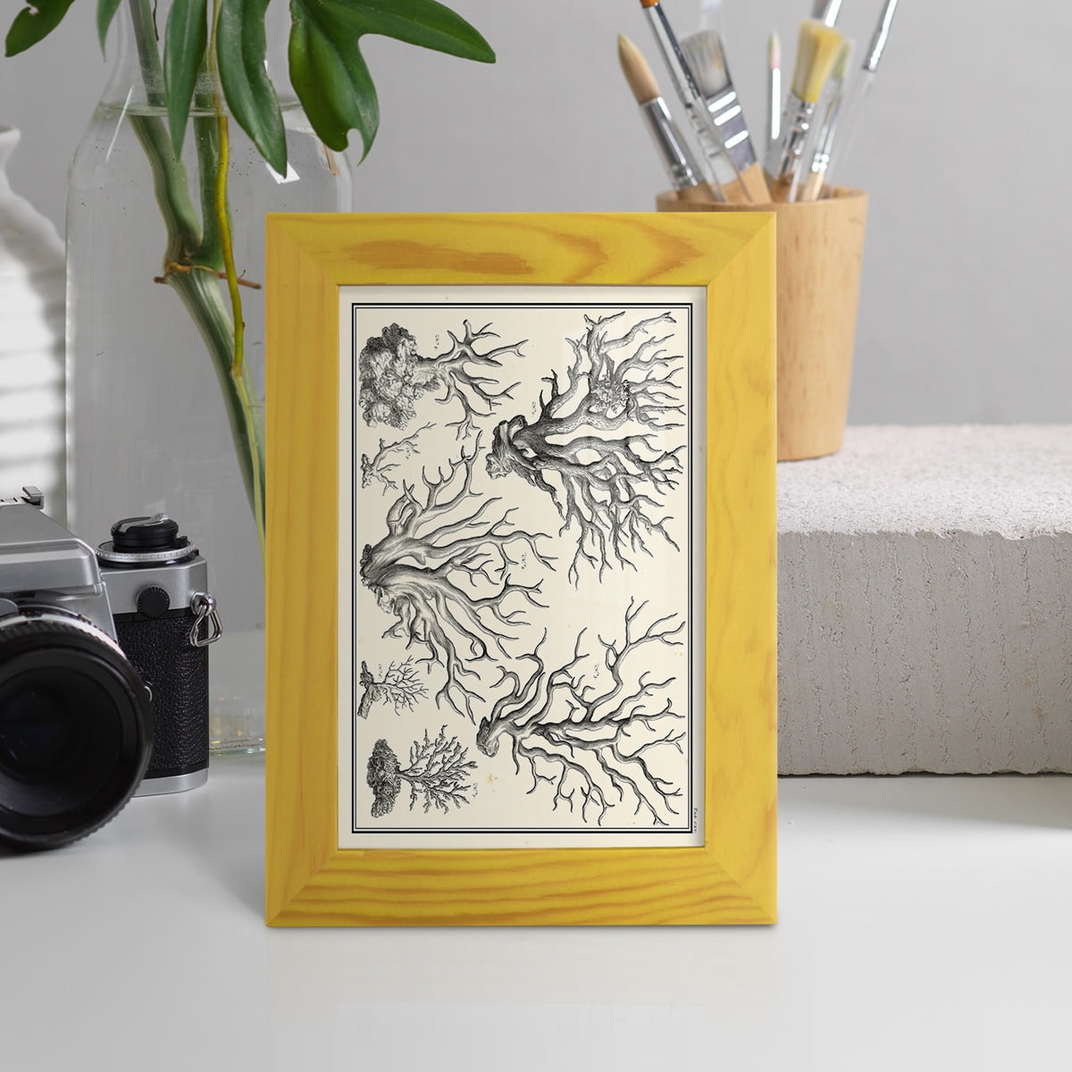 Aegean Collection III -Framed Print w/glass-Sunflower Yellow