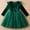 39-Green, variant on YWDJ Dress Star Sequins Mesh Princess Dress Christmas Performance Dress For Age 2-7 Years Old Red 5Y
