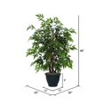 thumbnail image 4 of Vickerman TBU0640 Vickerman 4' Artificial Ming Aralia Bush in a Rattan Basket, 4 of 6
