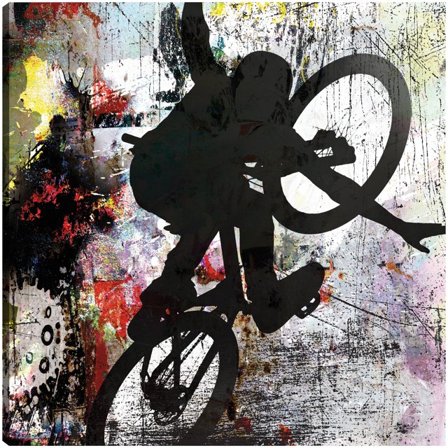 Cuadro Decorativo - BMX Extremo 4
