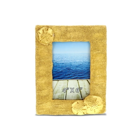 CoTa Global Metallic Gold Sand Dollar And Sea Biscuits Resin Photo Frame - Classy Golden Picture Holder With Cute Aquatic Ocean 4 x 6 Inch Vibrant Handpainted Wall Display Gift - Nautical Decor