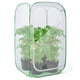thumbnail image 1 of Recinto exterior de malla para plantas RESTCLOUD 36 60x60x90 cm, 1 of 7