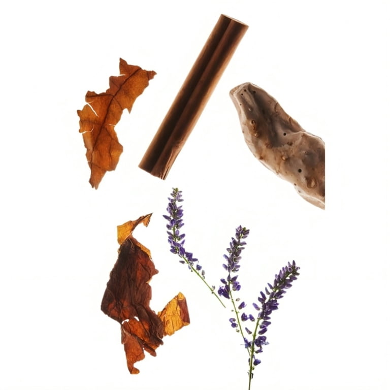 tobacco use and heart disease How Smoking Affects Heart Health