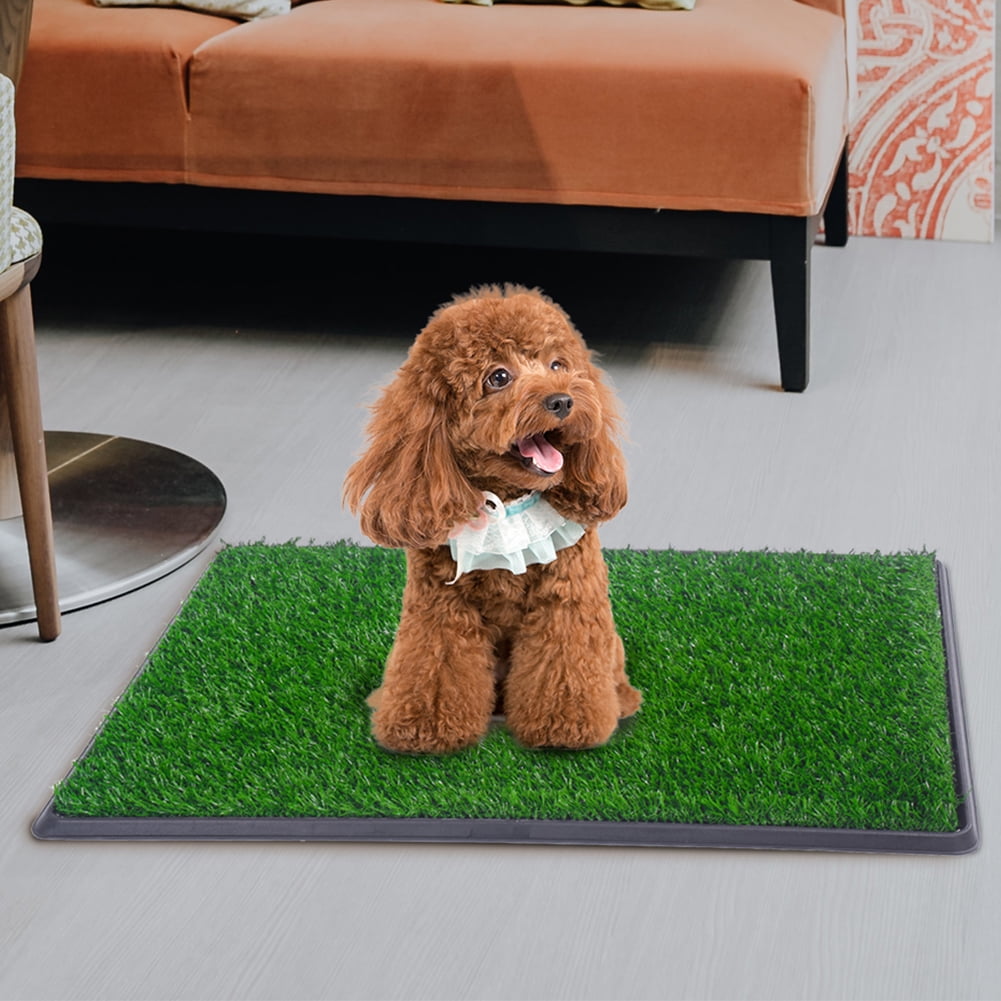 Senbabe 20"x 30" Dog Grass Pee Pad, Puppies Potty Pad for Living