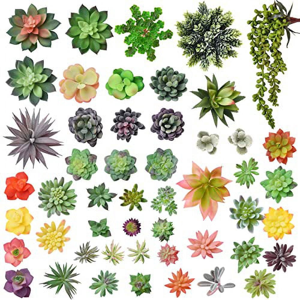 50 Pack Bulk Large Assorted Realistic Artificial Faux Succulents Aloe Plants Realistic Fake Succulent Plants, Largest Set of Succulents