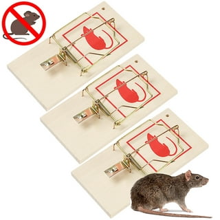 BARLAS Tunneled Safe Pest Control Rat Trap - Humane Dual Entry Traps for  Rats and Mice - Rat Snap Traps with Safe Pedal Design - Outdoor Rodent
