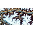 thumbnail image 2 of Ludwig, Alicia 18x11 White Modern Wood Framed Museum Art Print Titled - Himalayas II, 2 of 4
