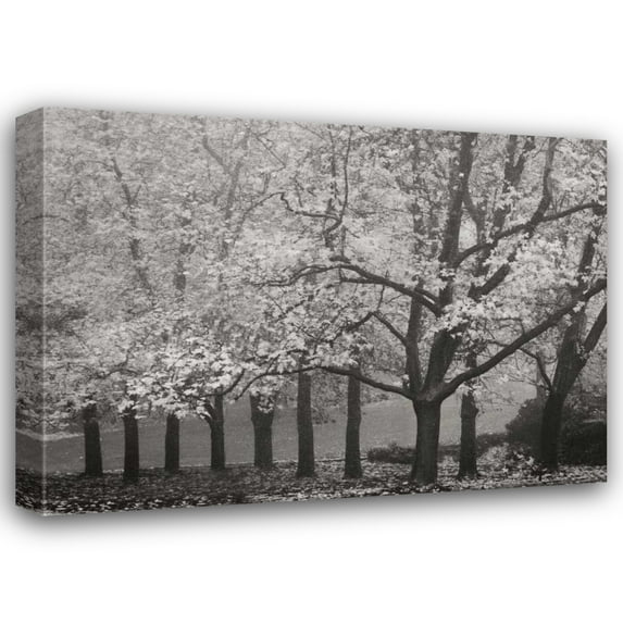 Vitaly Geyman 18x14 Gallery Wrapped Canvas Wall Art Titled - Colors in the Mist VIII BandW