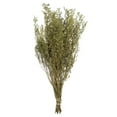 thumbnail image 1 of Vickerman H1STB115 14-18 Po. Stoebe Vert Printemps - Ensemble de 5-6 oz, 1 of 1