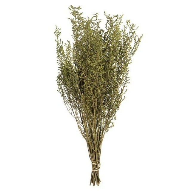 Vickerman H1STB115 14-18 Po. Stoebe Vert Printemps - Ensemble de 5-6 oz