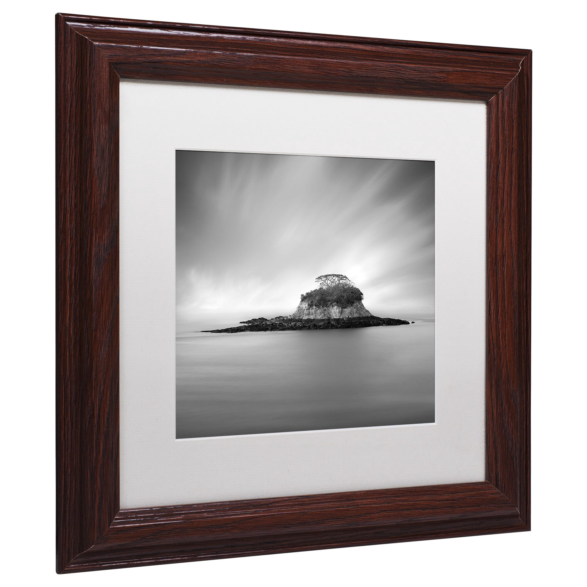 Trademark Fine Art "Rat Island" Canvas Art by Moises Levy White Matte, Wood Frame
