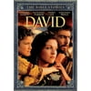 The Bible Stories: David (DVD)