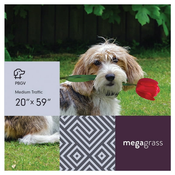 MegaGrass PBGV 20 x 59 in Artificial Grass for Medium Pet Dog Potty Indoor/Outoor Area Rug