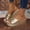 Gold, variant on Women's Thick Platform Slide Sandals Slip-On Casual Comfort Slides